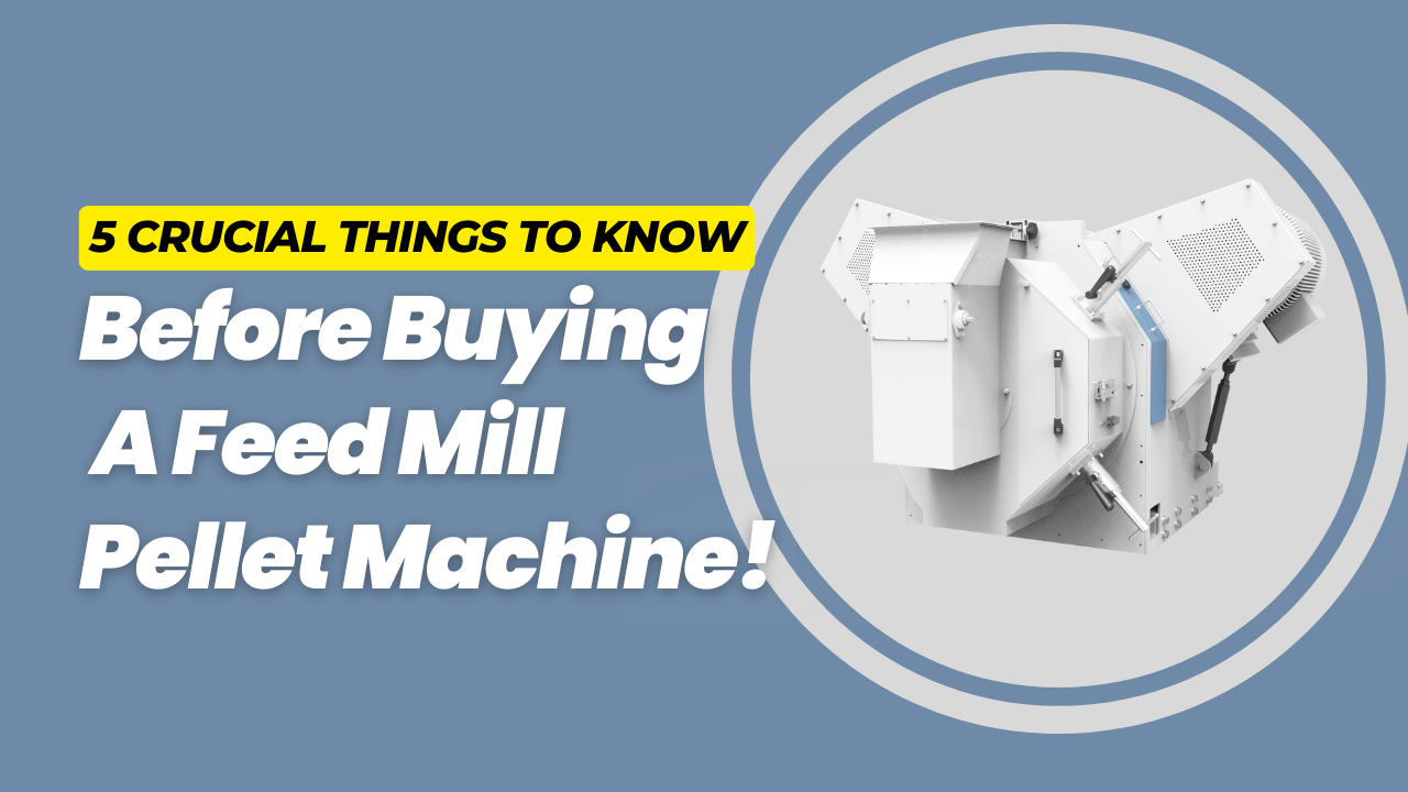 5 Crucial Things to Know Before Buying a Feed Mill Pellet Machine