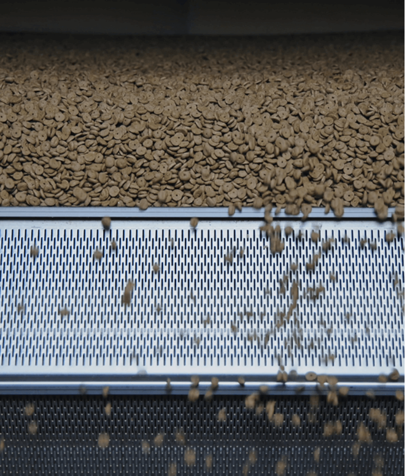 Elevating Grain Drying Solutions with Leading Manufacturers