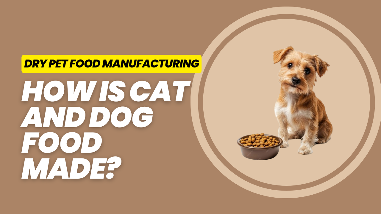 How Cat and Dog Food is Made