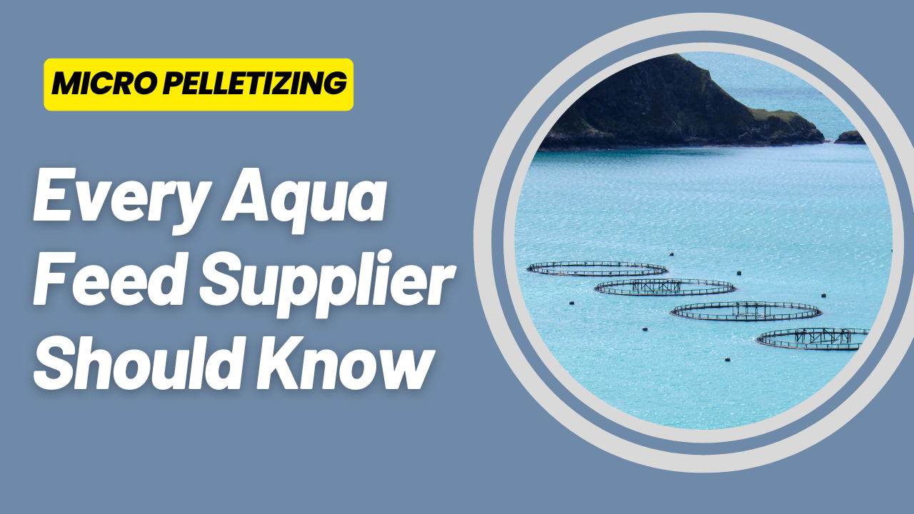 Micro Pelletizing: What Every Aqua Feed Supplier Should Know