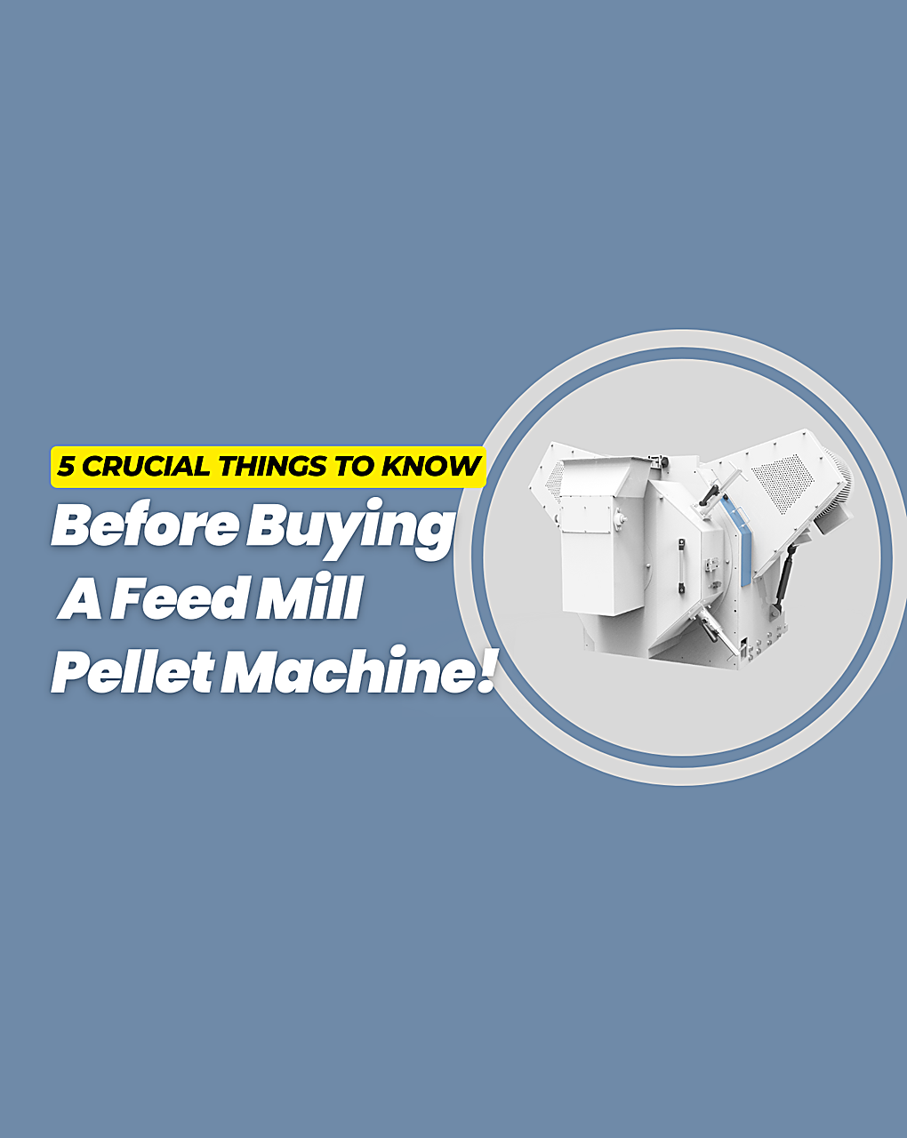 5 Crucial Things to Know Before Buying a Feed Mill Pellet Machine